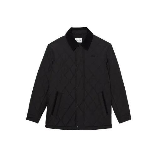 LACOSTE Collaboration Черные Мужские Куртки