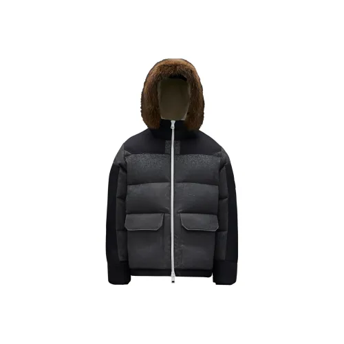 Moncler Серый Мужской Пуховик