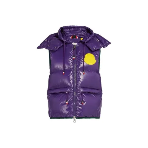 Moncler Фиолетовый Мужской Пуховый жилет