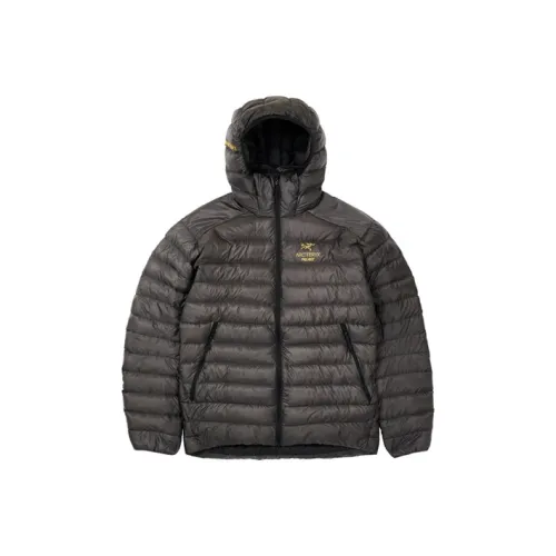 Arcteryx Коричнево-черный Унисекс Пуховики