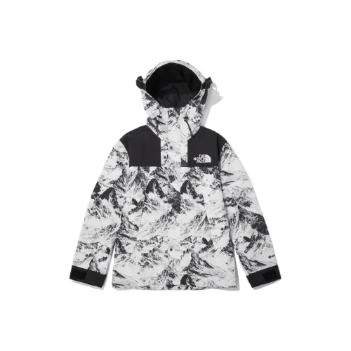 THE NORTH FACE Водонепроницаемый и Ветрозащитный Ветровки Унисекс Снежно-белый Горный