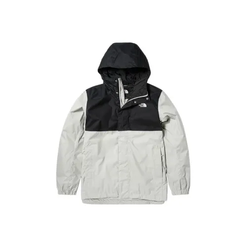 THE NORTH FACE Поход Водонепроницаемый и Ветрозащитный Ветровка Мужская Светло-Серый