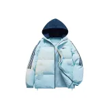 Лунный свет синий