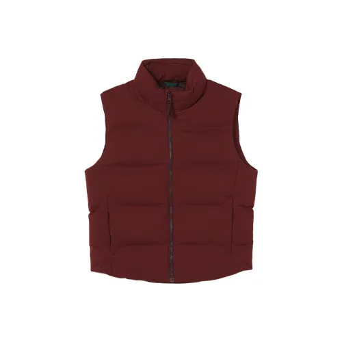 Мужские жилеты LACOSTE Collaboration