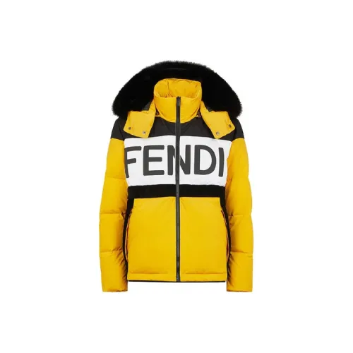 FENDI Желтый Мужской Пуховик