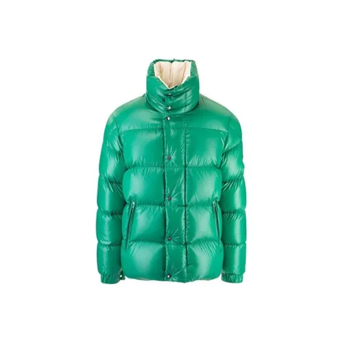 MONCLER Зеленый Мужской Пуховик
