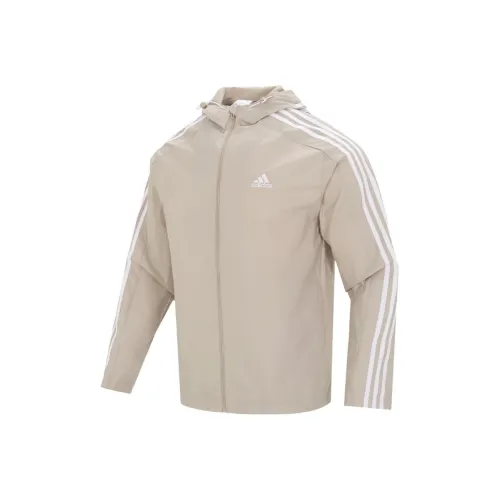 Adidas Хаки Мужские Куртки