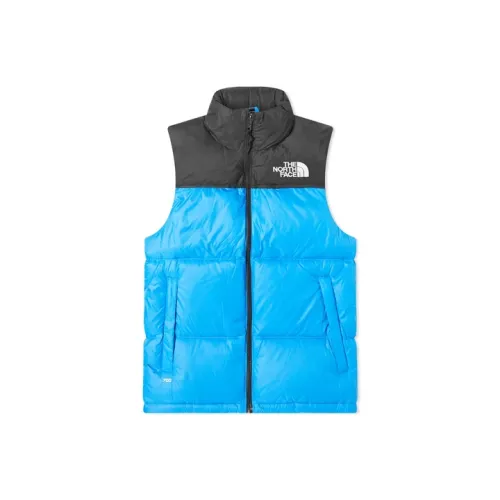 THE NORTH FACE 1996 Collection Синий Мужской Пуховый жилет