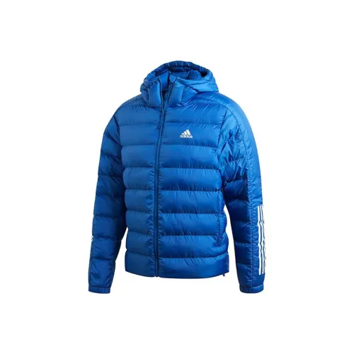 Adidas Пуховая куртка Мужская Синяя