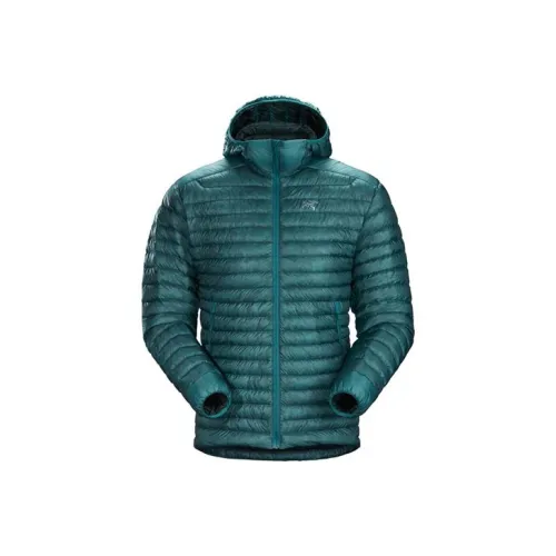 Arcteryx Cerium Пуховики и зимние пальто Зимний Мужской