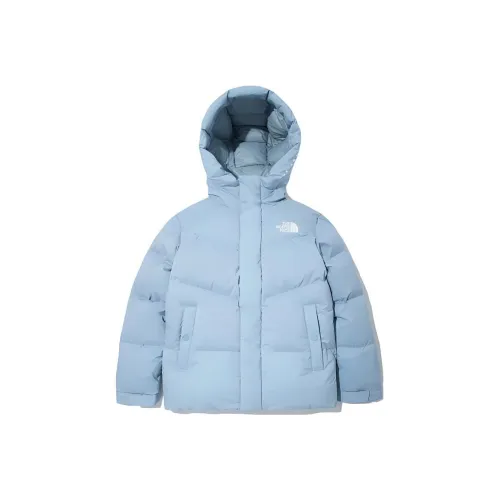 The North Face Синий Мужской Куртки