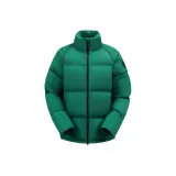 Вечнозелёный