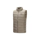 Слоновой серый