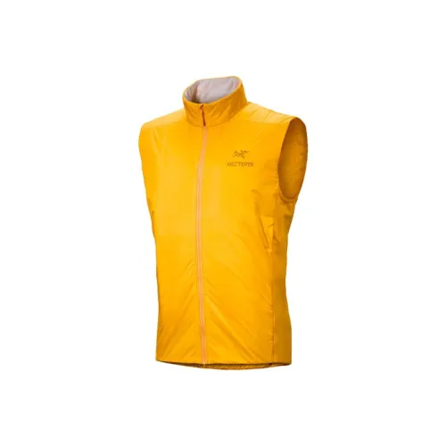 Arcteryx ATOM Мужские жилеты