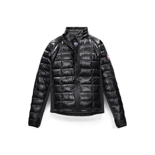 Серия Canada Goose HyBridge Мужские Черные Пуховики