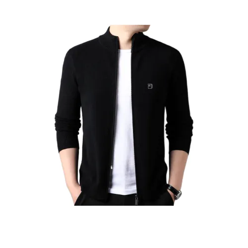 PIERRE CARDIN Мужской Трикотаж