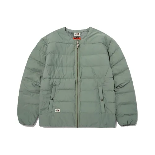 The North Face Зеленый Мужской Пуховик