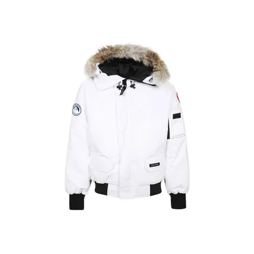 Canada Goose Chilliwack Series Пуховик Мужской Белый