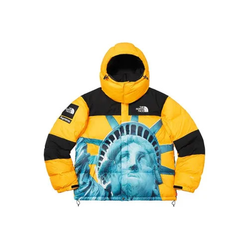 Supreme x THE NORTH FACE FW19 Пуховик Унисекс Желтый