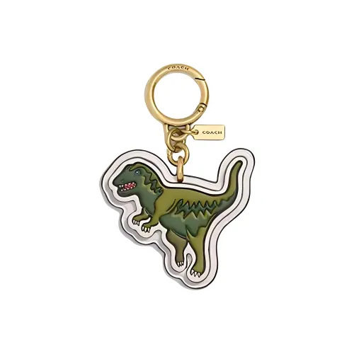 COACH Кожа Keychains Женские Латунь