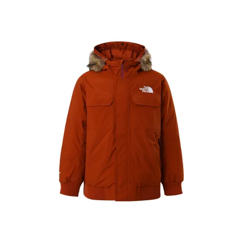 THE NORTH FACE McMurdo Куртки и Пальто Мужской Коричневый