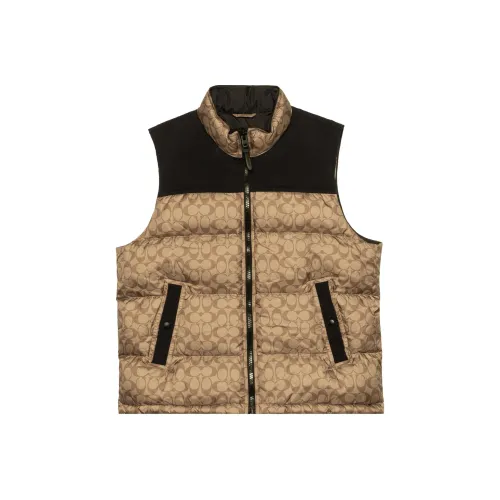 COACH Мужские золотые пуховики