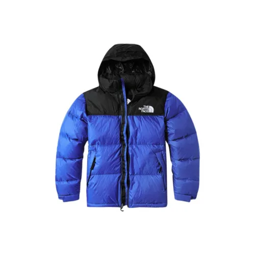 THE NORTH FACE 1996 Collection Пуховик Унисекс Синий