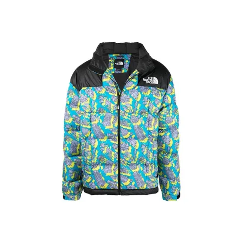 THE NORTH FACE 1990 Collection Многоцветный Мужской Пуховик