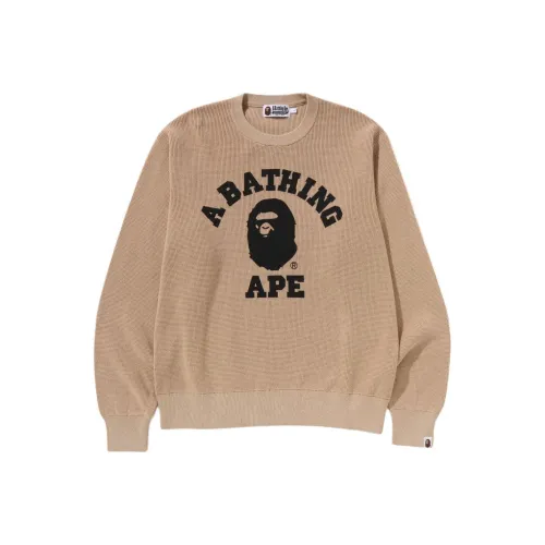 A BATHING APE VERY PREP Collection SS25 Толстовка Унисекс
