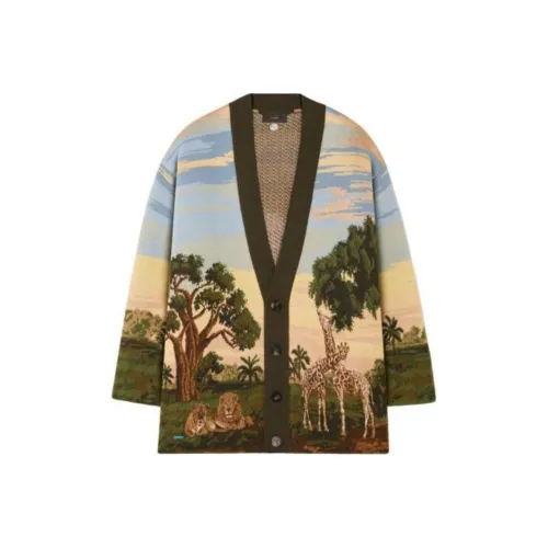 Alanui Зеленый Мужской Трикотаж