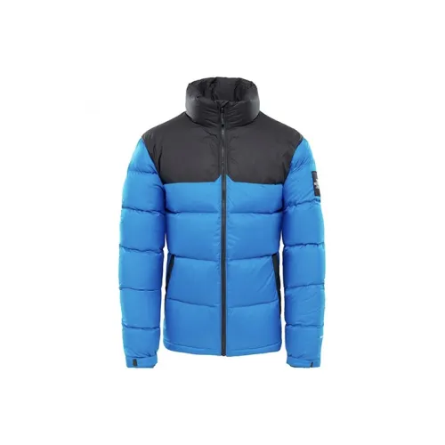 THE NORTH FACE 1992 Collection Пуховик Мужской Синий