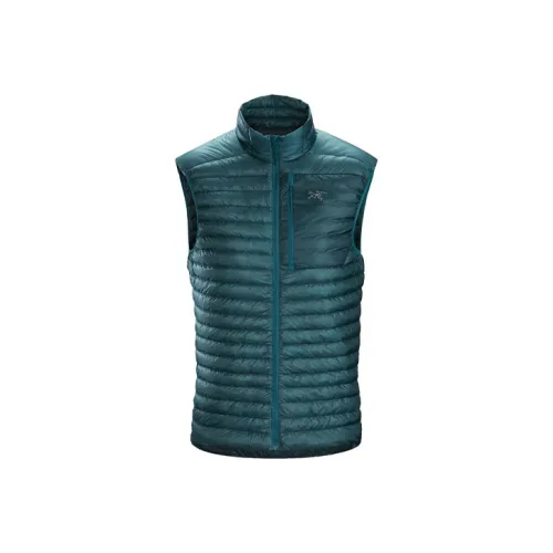 Arcteryx Cerium Мужские жилеты
