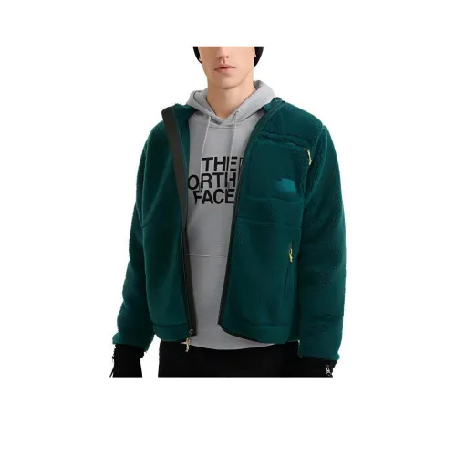 The North Face Зеленый Мужской Куртки