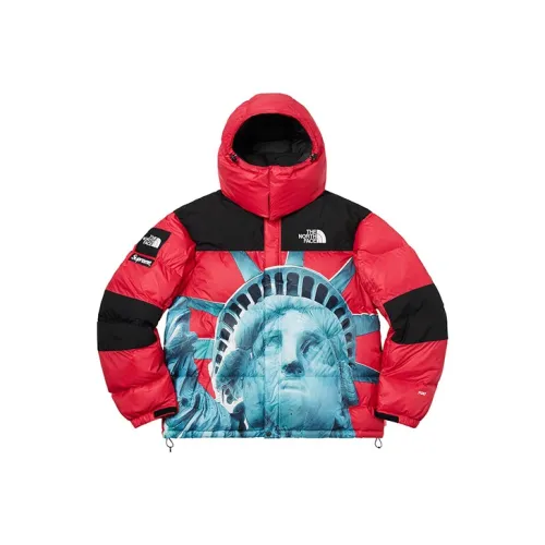 Supreme FW19 Унисекс Пуховики