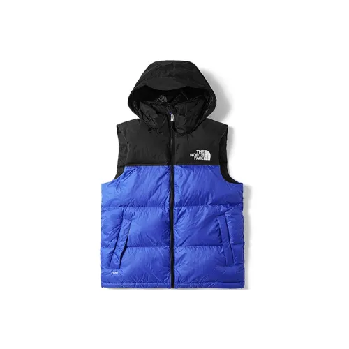 The North Face 1996 Collection Синие Унисекс Жилеты