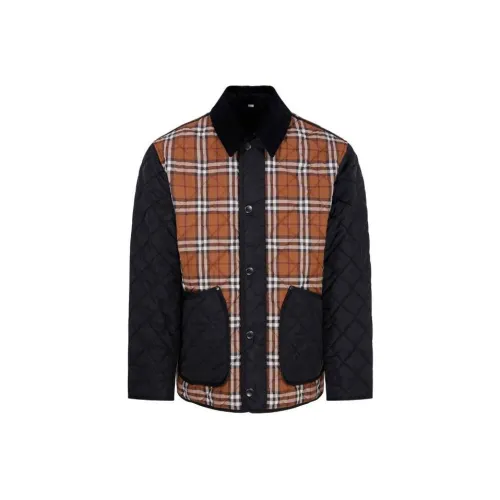 Burberry Многоцветные Мужские Куртки
