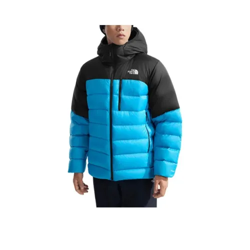 THE NORTH FACE Пуховик Мужской Clear Spring Синий
