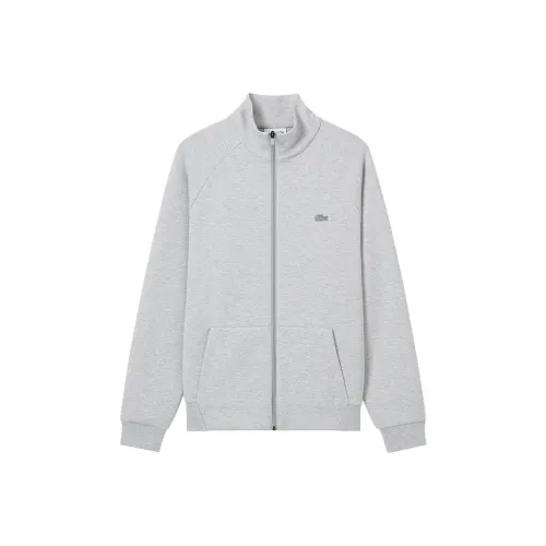 LACOSTE Collaboration CCA/Серебристо-серый Мужские Свитшоты