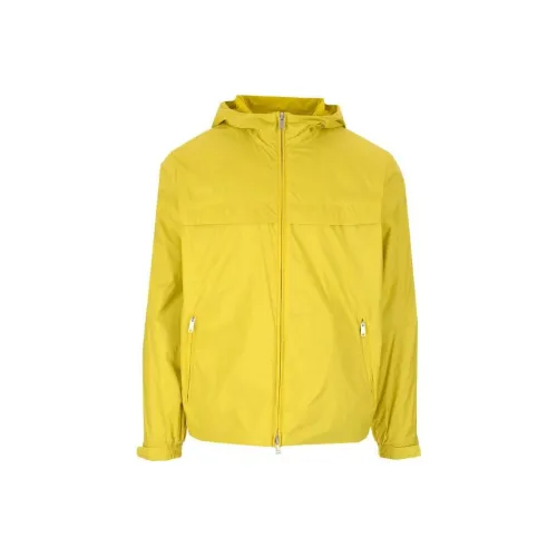 Ermenegildo Zegna Желтые Мужские Куртки