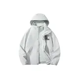 Бело-березово-серый