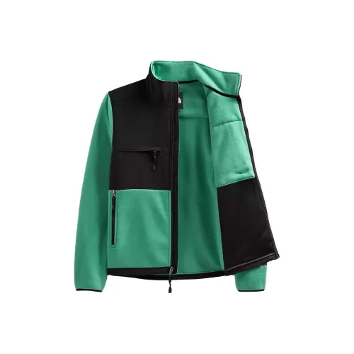 The North Face 1995 Collection Зелёно-чёрная унисекс куртка