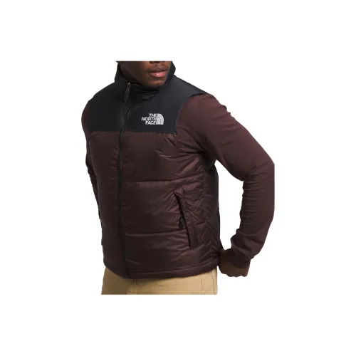 THE NORTH FACE 1996 Collection Жилет Мужской