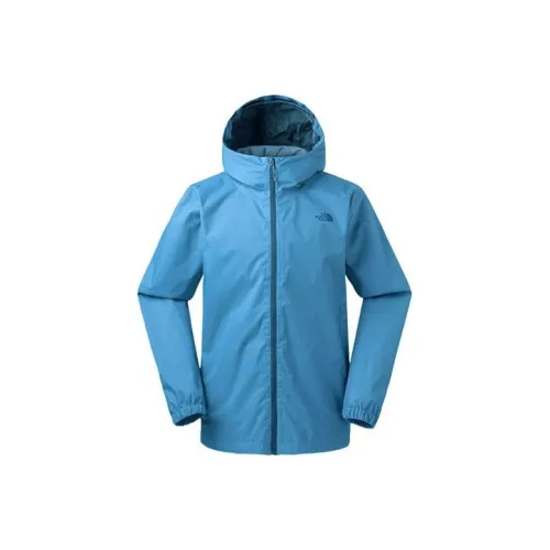 The North Face Водонепроницаемый и Дышащий Устойчивый к Износу Ветровка Мужской