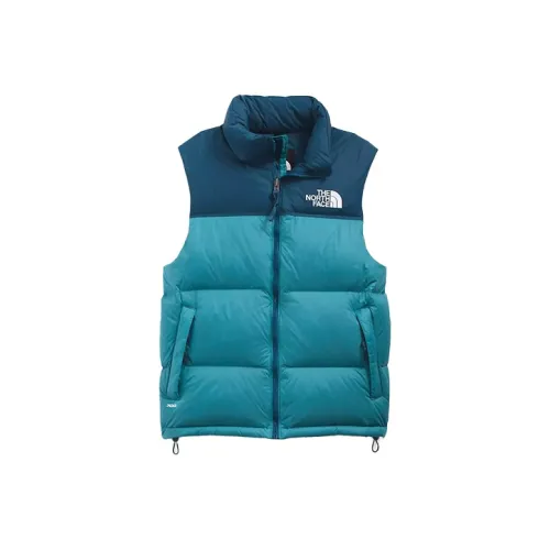 THE NORTH FACE 1996 Collection Жилет Мужской Синий