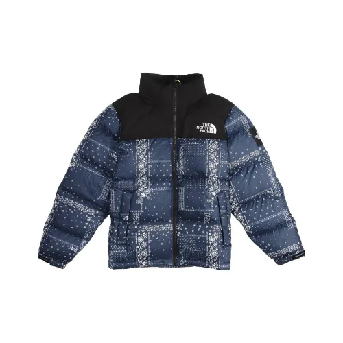 THE NORTH FACE Куртка Мужская Синяя