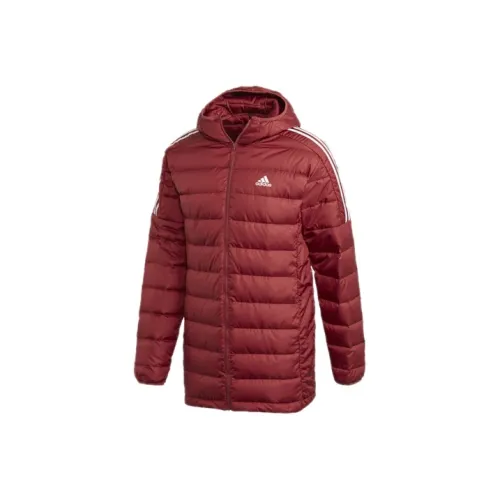 Adidas Red Men's Down Jackets Adidas Красный Мужской Пуховик