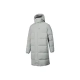 Ледниково-серый