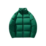 Вечнозелёный