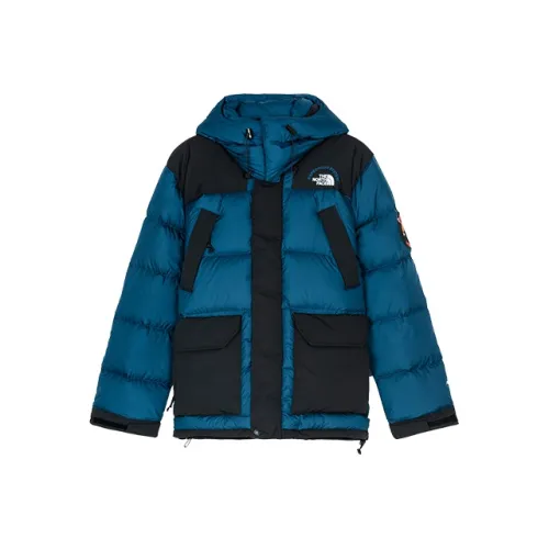 THE NORTH FACE Пуховик Зимний Мужской Темно-синий