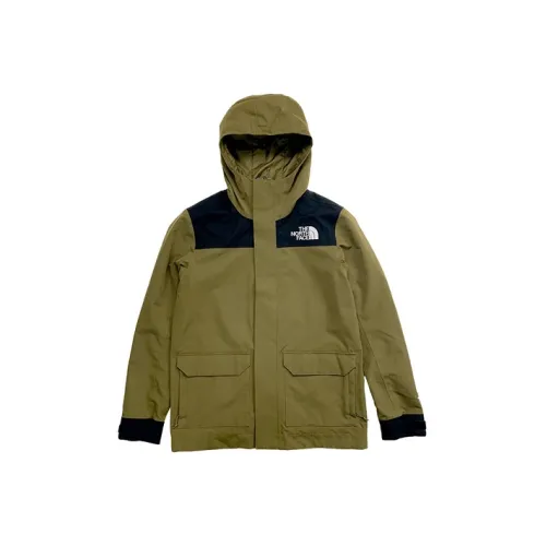 THE NORTH FACE Водонепроницаемый и Ветрозащитный Ветровка Мужской Зеленый